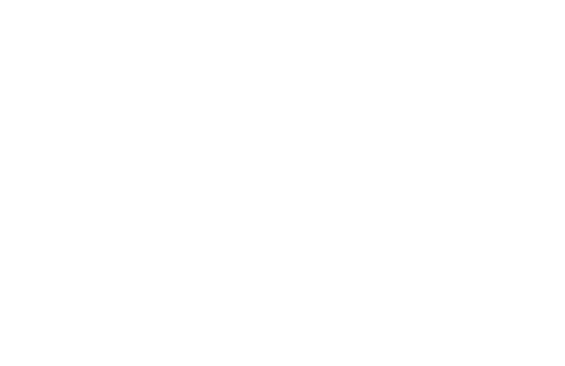 Hotel Fénix